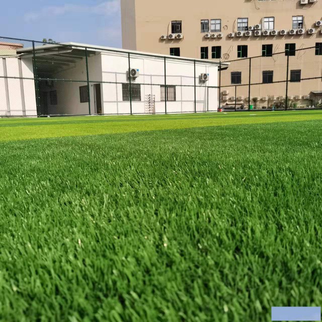 东莞市大岭山镇哪里有足球场可以踢球