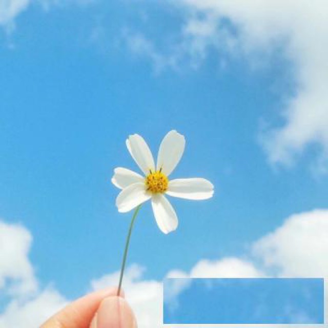 2022年，如何做一个自律的人？