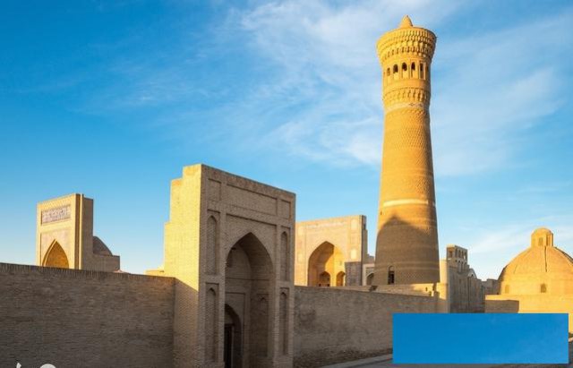 注册乌兹别克斯坦公司有什么要求