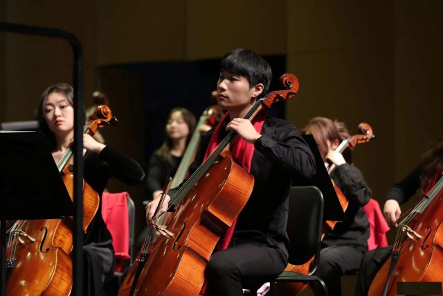 大提琴毛老师招生