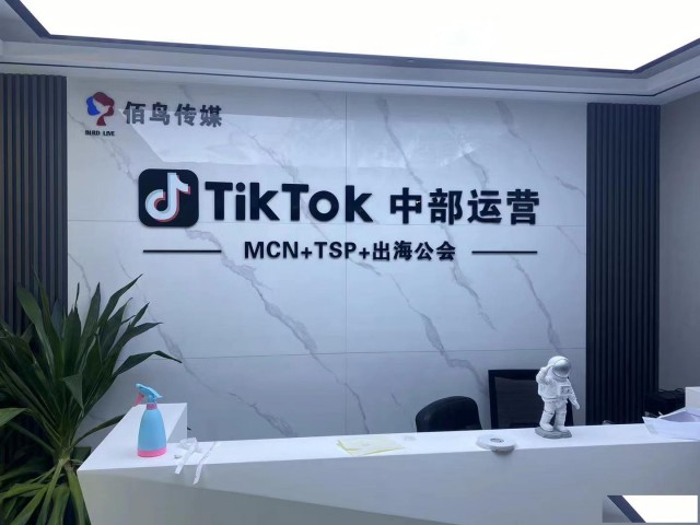抖音海外版TikTok公会招商加盟河南郑州