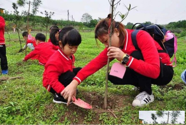 惠州果盛生态园公益植树活动方案