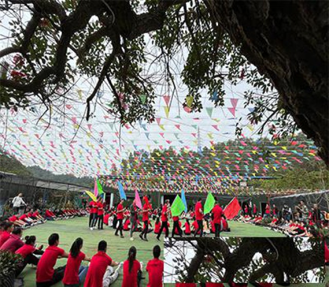 深圳坑梓生态园公司团建团队拓展一日游分享