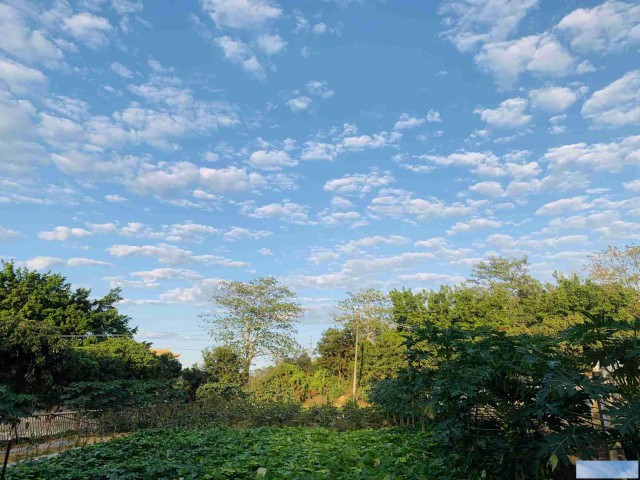惠州推荐好玩的农家乐