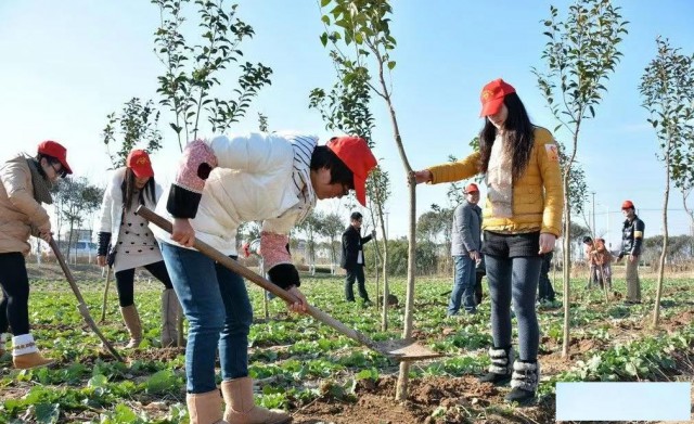 惠州植树节哪里可以举行学校种树活动