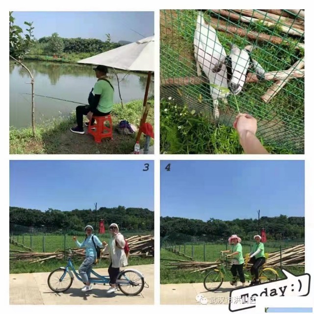 活动策划来分享了，武汉团队出游不走寻常路的，就往乐农湖畔走