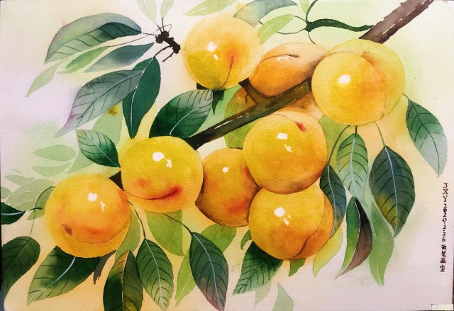 南京学油画南京素描班南京美术培训