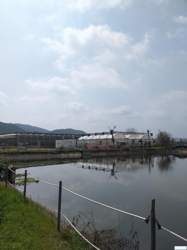 长沙农家乐亲子团建烧烤露营