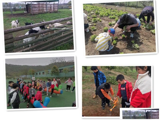 告别孤单打卡一处武汉研学亲子一日游嗨了你觉得如何？