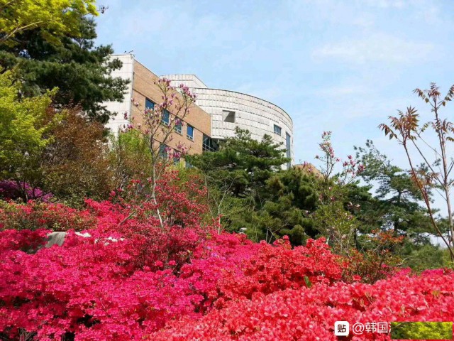 2023年韩国湖南大学国际课程班正在火热招生中