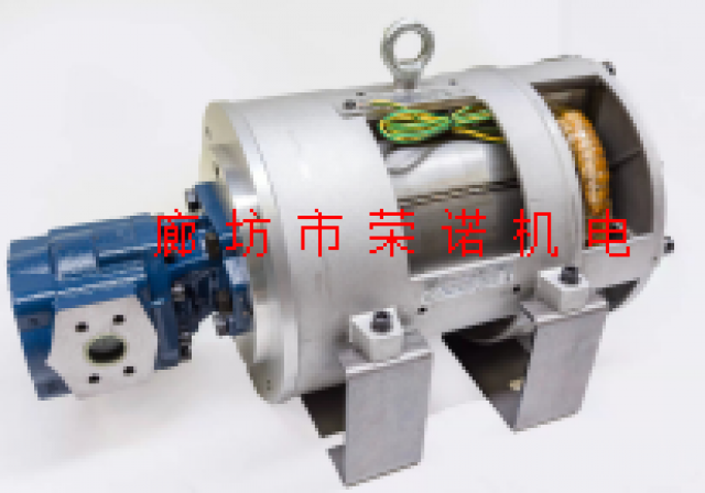 SB油浸式电机45KW4级SBBL4P303