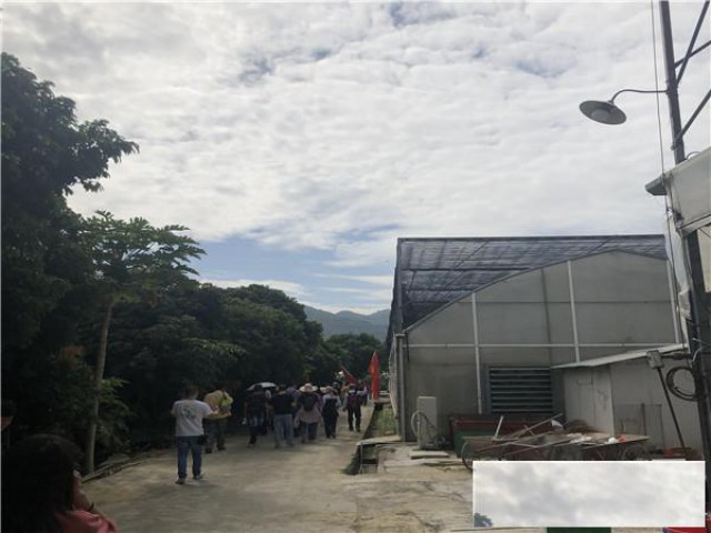 深圳凤凰山休闲一日游野炊烧烤聚会好去处