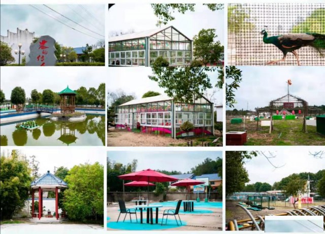 长沙农家乐推荐：野炊烧烤、团建休闲、农的传人