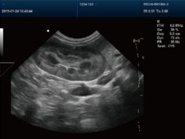 大型宠物医院用的高端彩超机