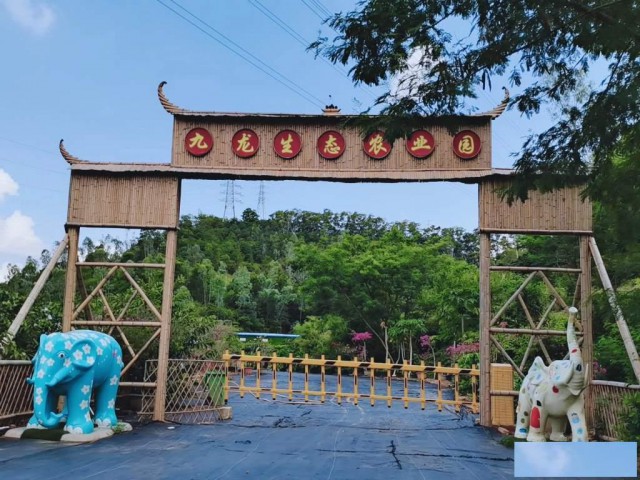 深圳市户外旅游一日游好去处九龙生态园比较好