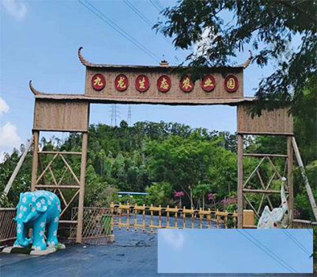 深圳坪山九龙生态农业园一个适合公司团建企业拓展的农家乐游记