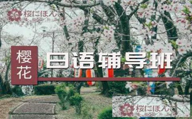 樱花日语日语初级基础课程怎么样？今日为大家介绍一下
