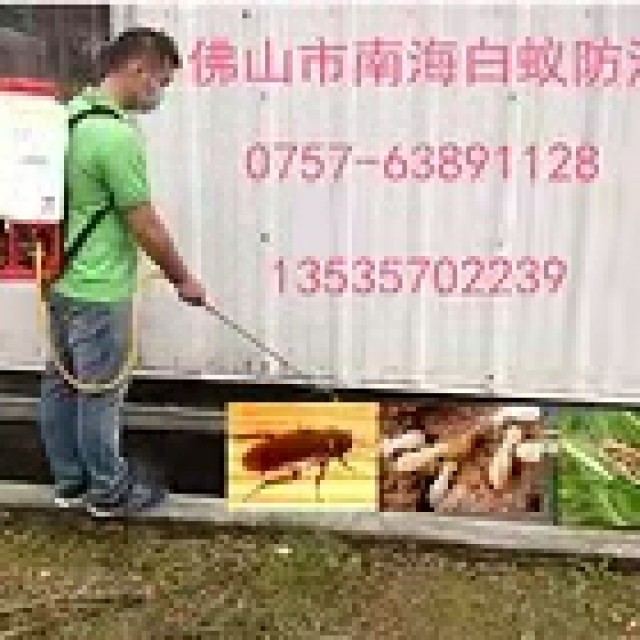 南海区桂城白蚁防治除四害杀虫业务服务