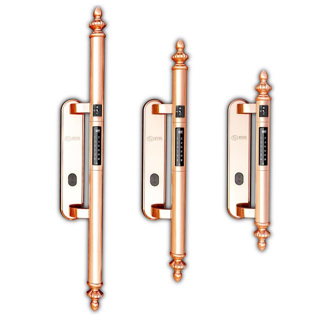 木门防盗门玻璃门别墅门断桥铝专用智能锁批发零售