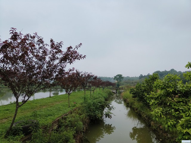 长沙农家乐团建必玩项目|农家乐团建游玩全攻略