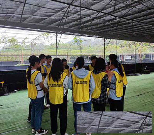 深圳公司团建周末出游好去处农家乐野炊拓展一日游