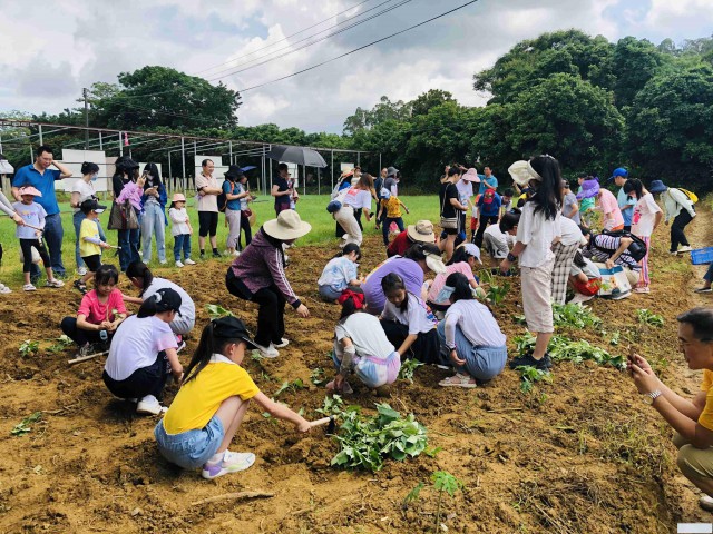 惠州亲子游活动方案