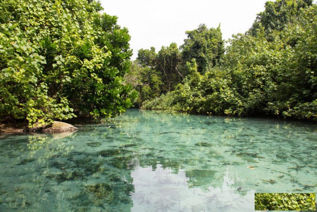 瓦努阿图牌照的注册