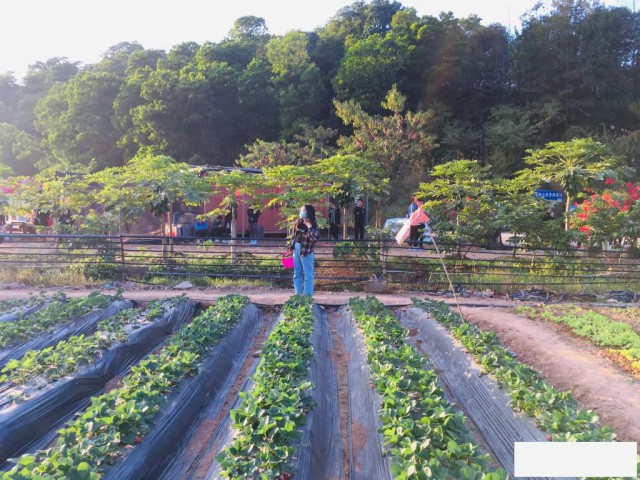 深圳周边团建公司策划户外活动一日游场地