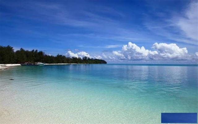 马来西亚可以注册哪些类型的公司