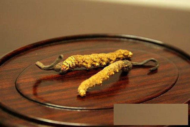 东城区回收冬虫夏草收购同仁堂礼品冬虫夏草