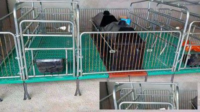 母猪产床单体产床塑料保温箱养猪誉嘉畜养猪设备商家直销