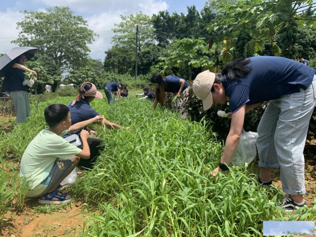 国庆出游惠州好玩的地方推荐果盛农家乐