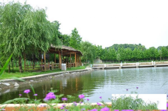 长沙农家乐团建拓展家庭出游好去处:德逸山庄