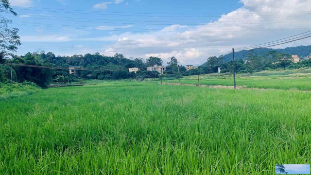 惠州疫情过后公司团建好去处