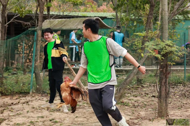 武汉周边好玩的农庄有哪些有趣的8个活动区域乐农脱颖而出