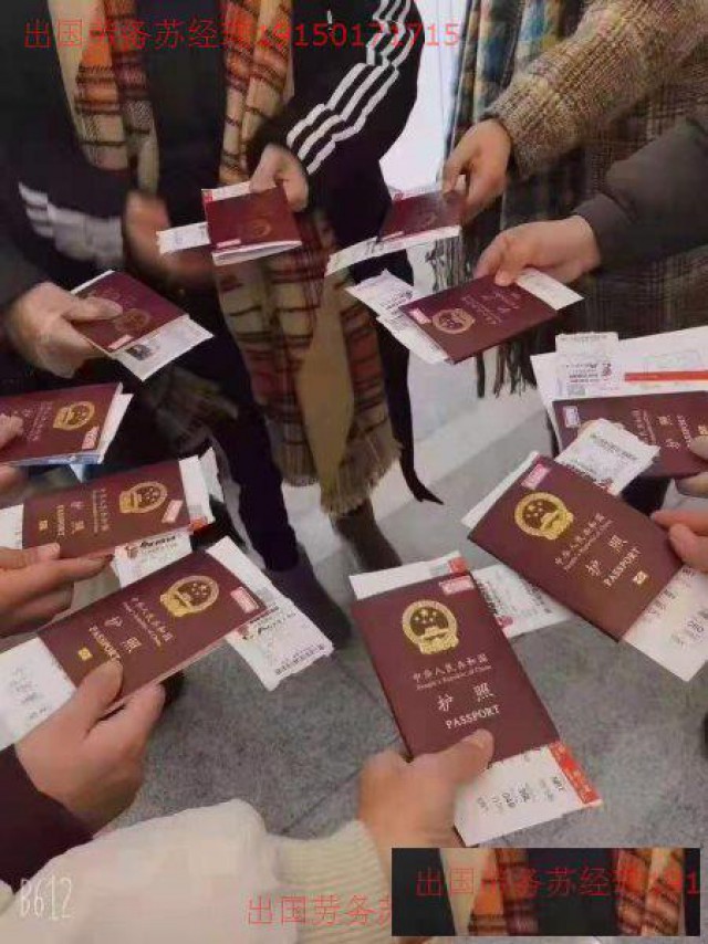 新西兰澳大利亚雇主直招华人保姆家政保洁包吃住月薪3万