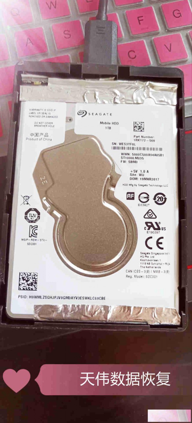 移动硬盘数据恢复（天伟数据恢复公司）