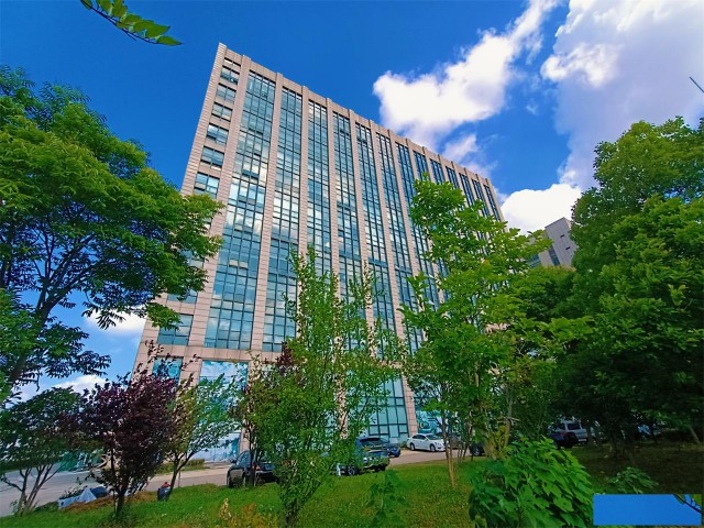 集结“链！外高桥保周跨境电商直播产业园来了