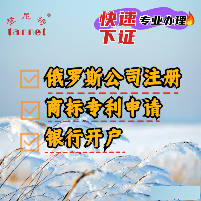 俄罗斯公司注册需提交的资料