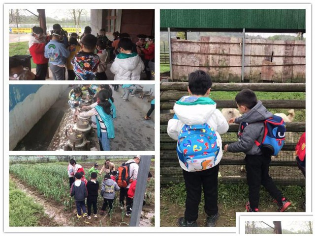 武汉研学学生游乐农景区喊你来约大声的告诉你那儿不错