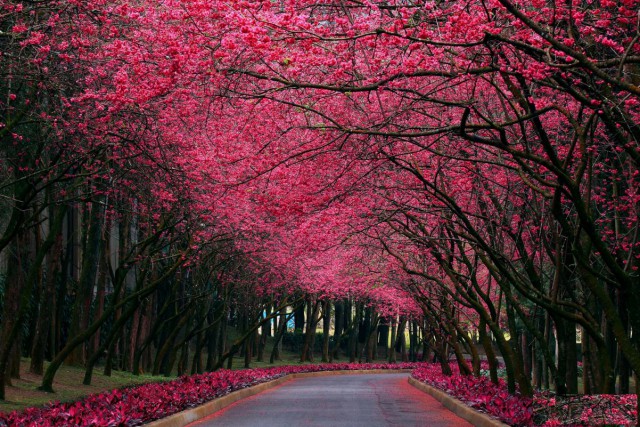 郑州市房建二级施工总承包新办资质带安许低价转让