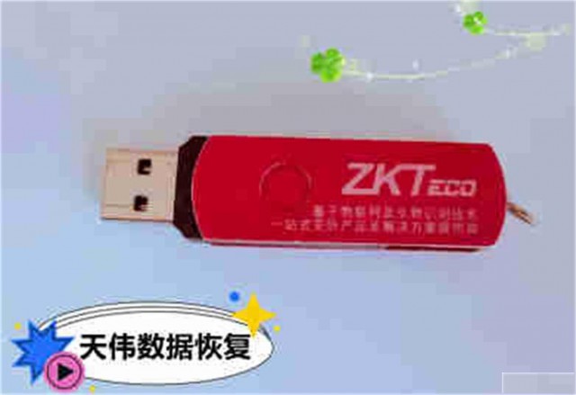 U盘格式化后数据恢复（天伟）