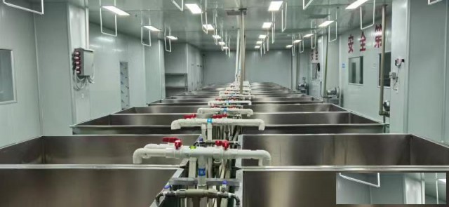 广西南宁权威机构食品生产许可证SC及有机产品认证