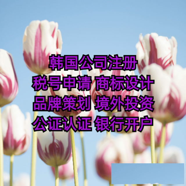 注册韩国公司的好处