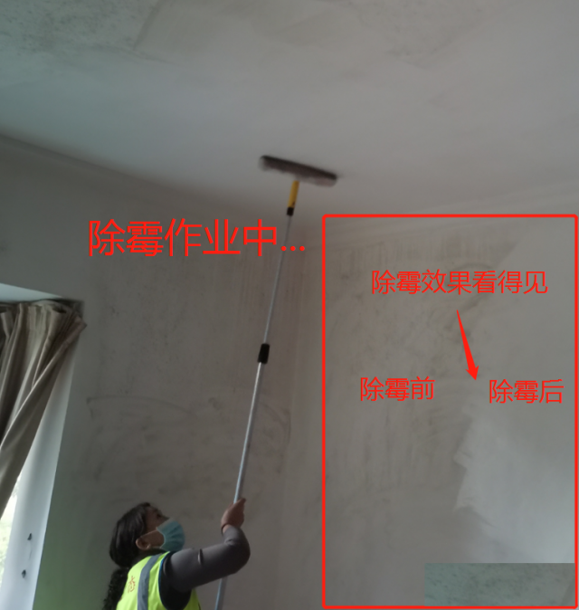 广州芳村上门除霉公司，墙壁去霉菌，荔湾区专业清除发霉