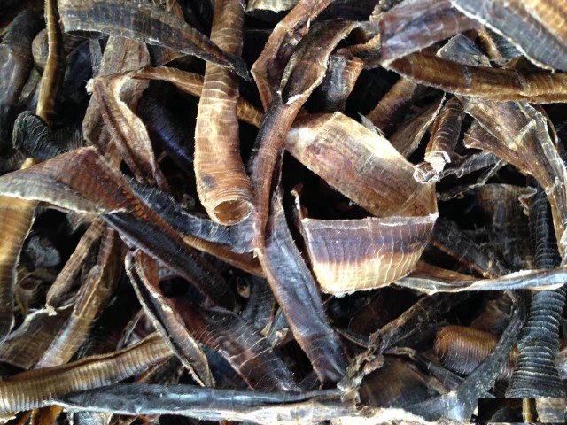 地龙进口报关公司