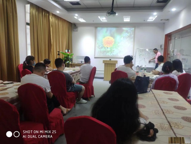 中山慧网直播培训拼多多培训淘宝培训阿里巴巴培训电商运营