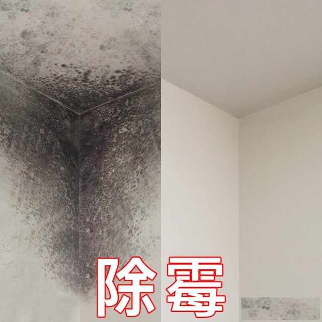 海珠区天花除霉，广州上门除发霉公司，墙面去霉菌