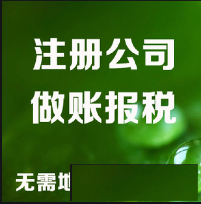 广州从化、白云、黄埔专业注册公司代理记账