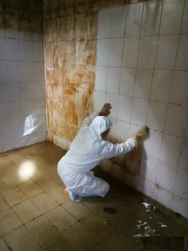 佛山南海丹灶清洁水池，水箱保洁，水池专业清洗公司